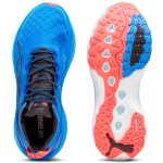 ForeverRun Nitro ForeverRun Nitro