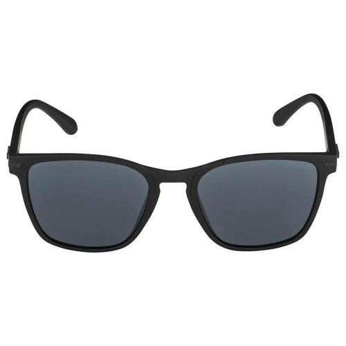 Alpina очки солнцезащитные Yefe