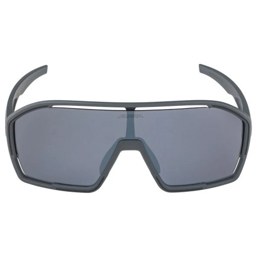 Alpina очки солнцезащитные Bonfire