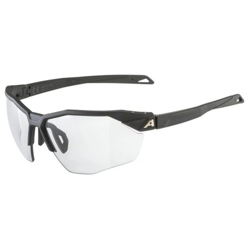 Alpina очки солнцезащитные Twist SIX HR