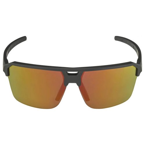 Alpina очки солнцезащитные Swift HR