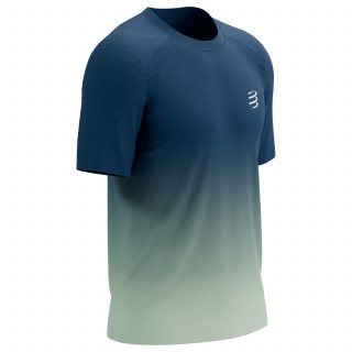 Compressport футболка мужская Performance