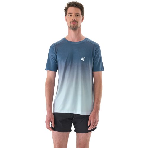 Compressport футболка мужская Performance