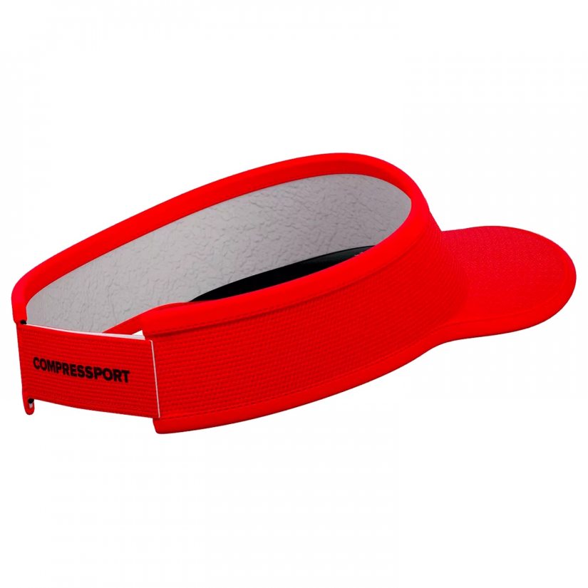 Visor