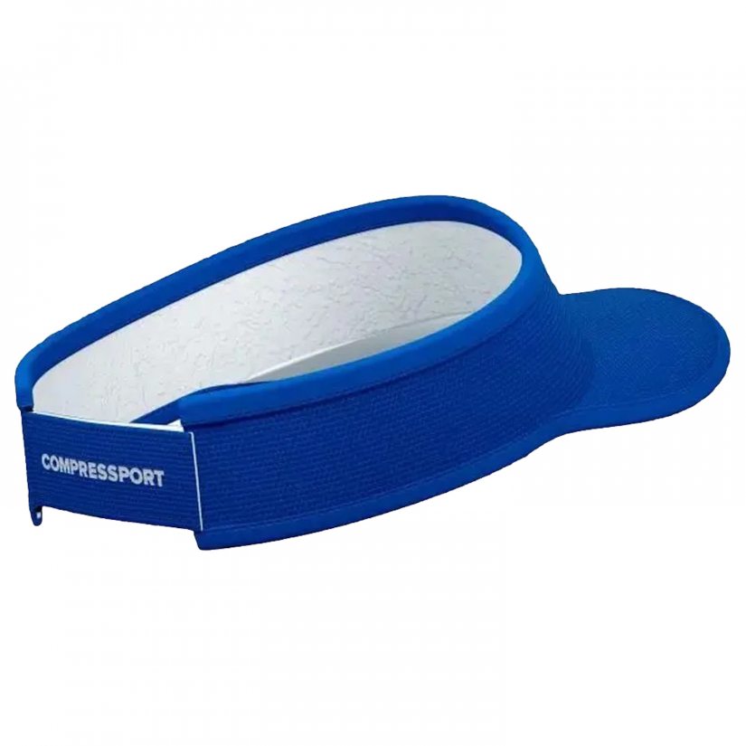 Visor