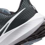 Air Zoom Pegasus 39