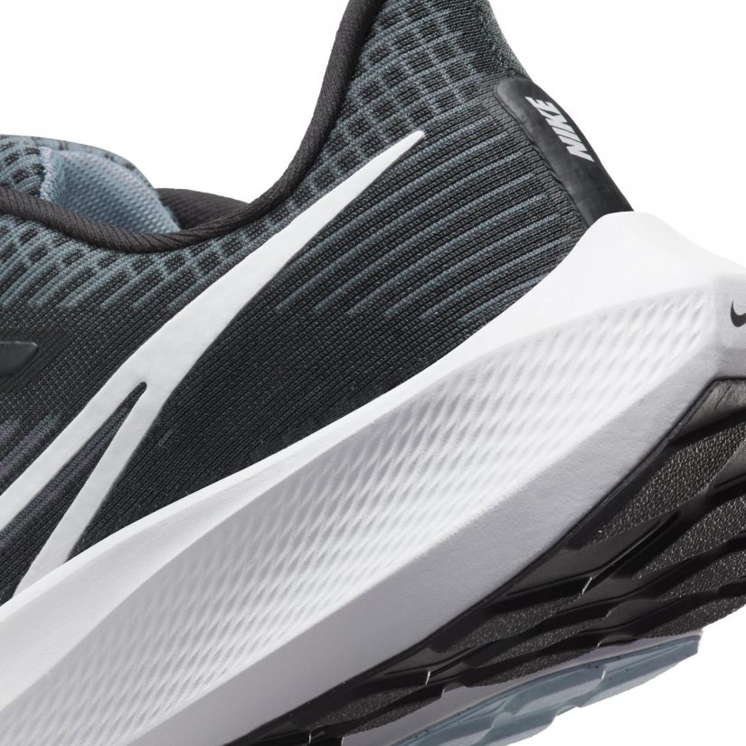 Air Zoom Pegasus 39