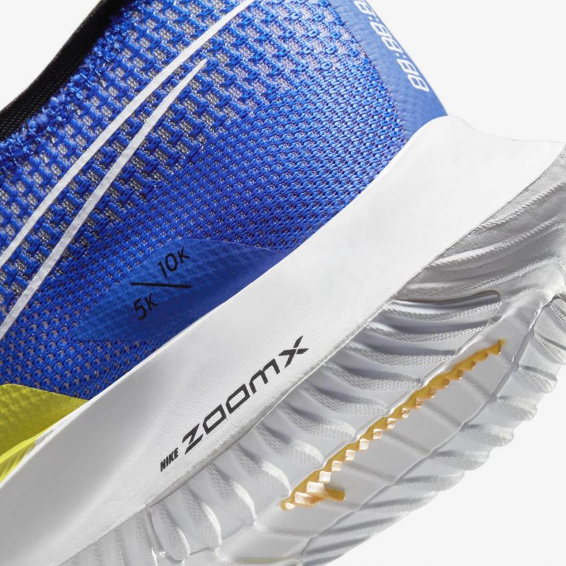 ZooMX Steakfly