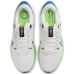 Air Zoom Pegasus 40