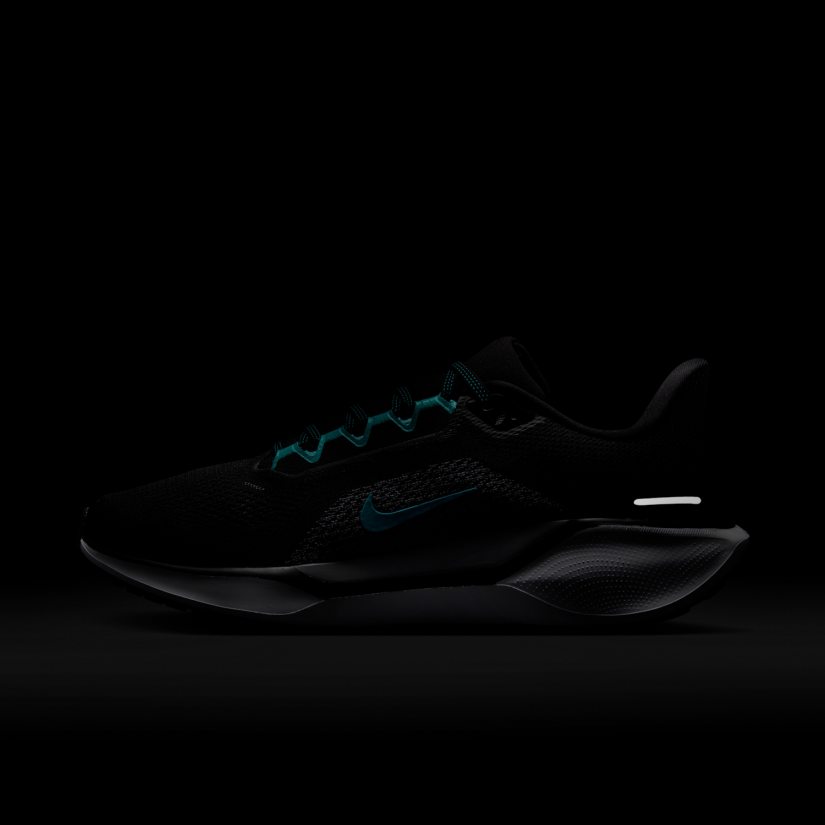 Air zoom pegasus 41