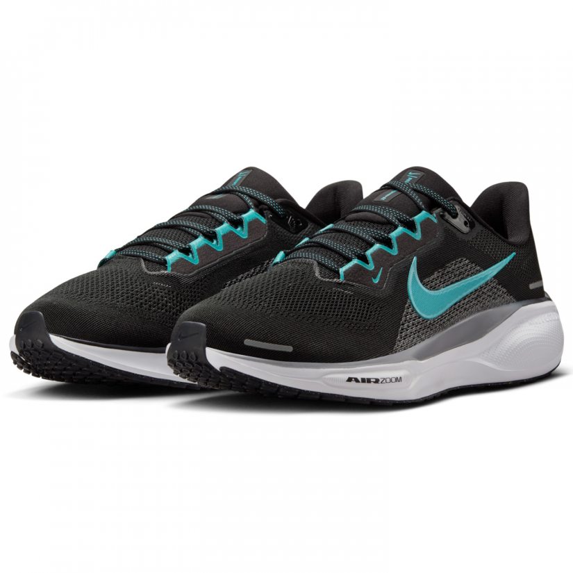 Air zoom pegasus 41