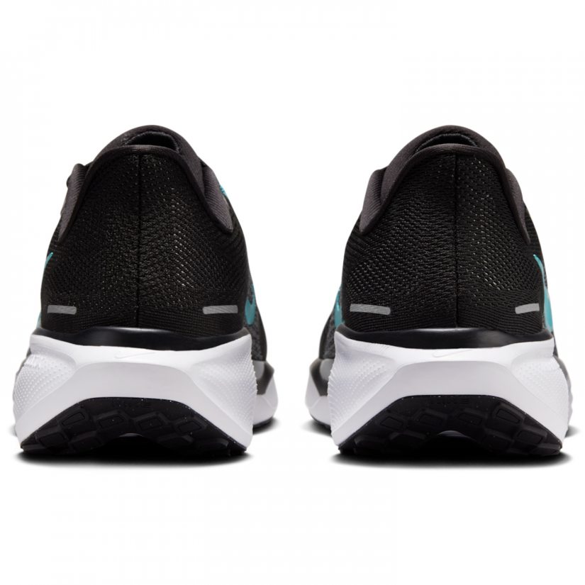 Air zoom pegasus 41