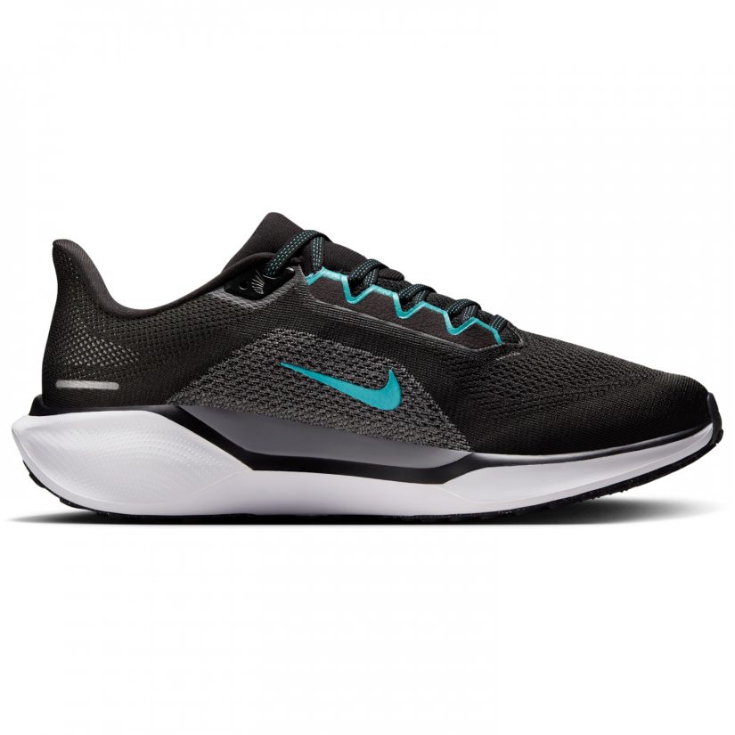 Air zoom pegasus 41