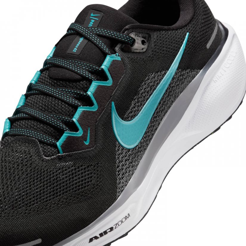 Air zoom pegasus 41