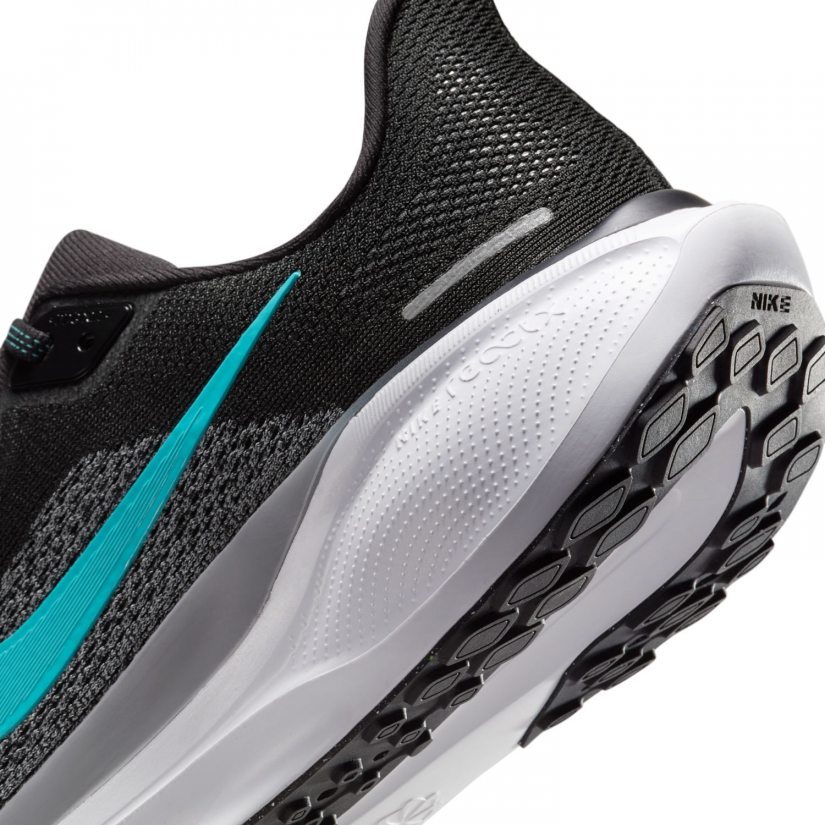 Air zoom pegasus 41