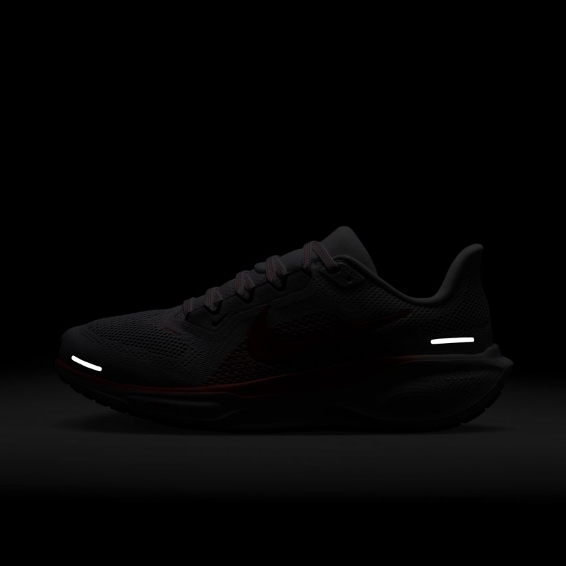 Air zoom pegasus 41
