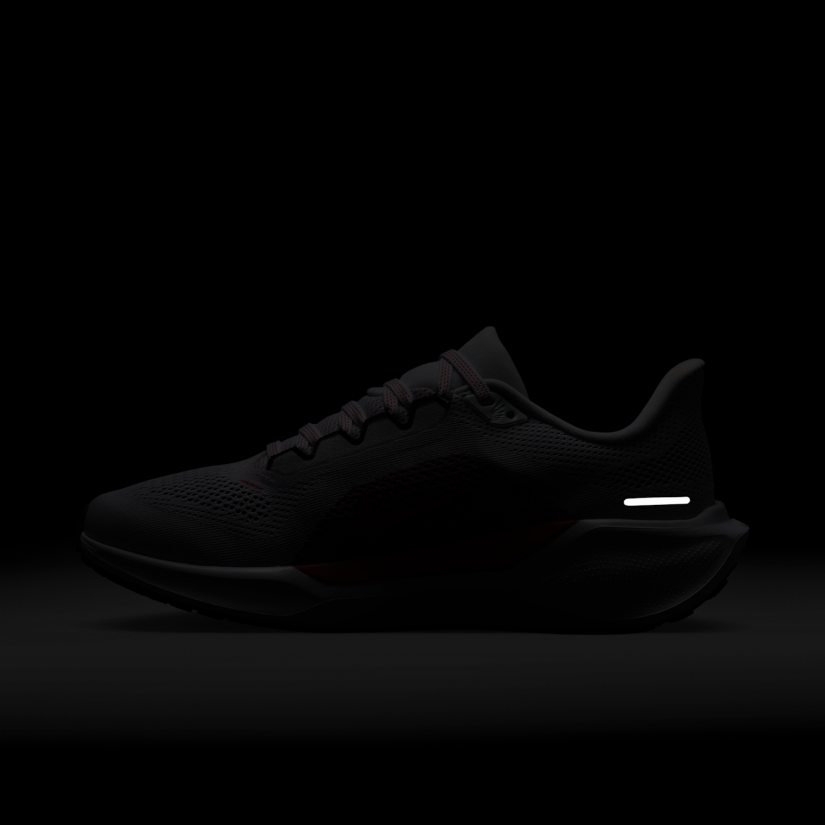 Air zoom pegasus 41