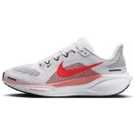 Air zoom pegasus 41