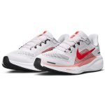 Air zoom pegasus 41