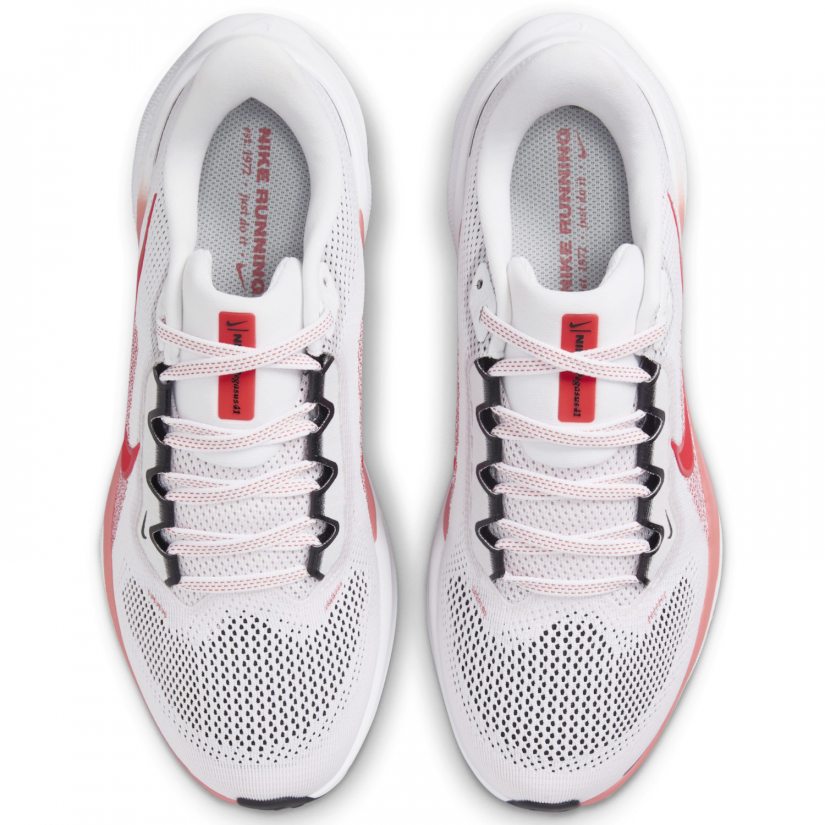 Air zoom pegasus 41