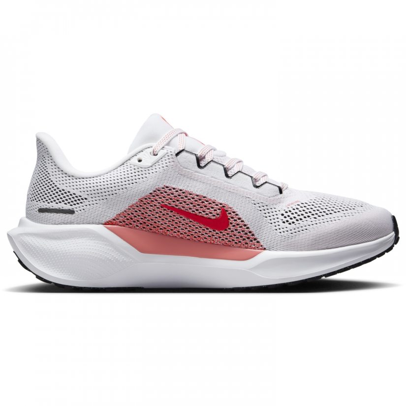 Air zoom pegasus 41