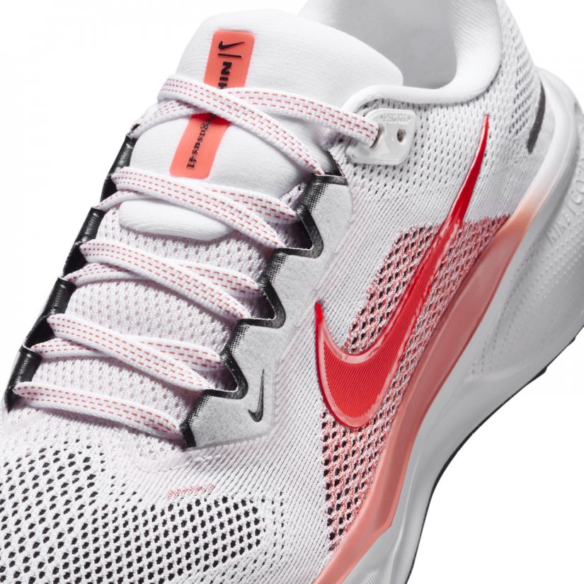 Air zoom pegasus 41