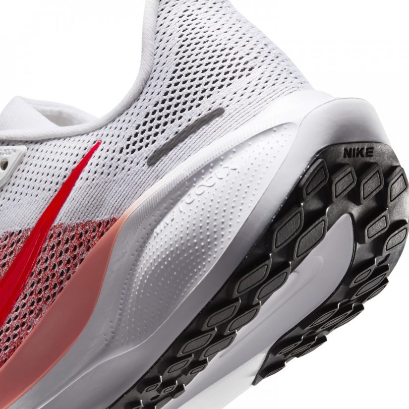 Air zoom pegasus 41