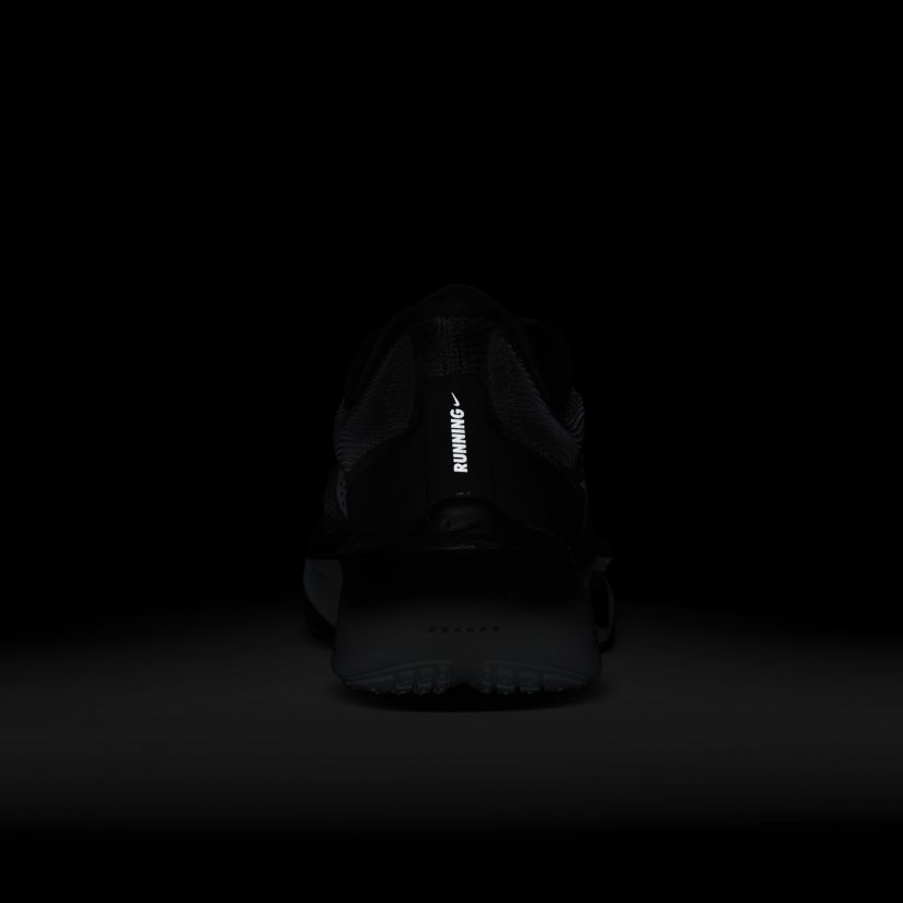 Zoom fly 6