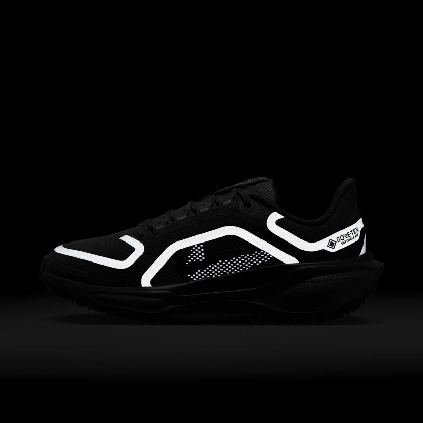 Air zm pegasus 41 gtx