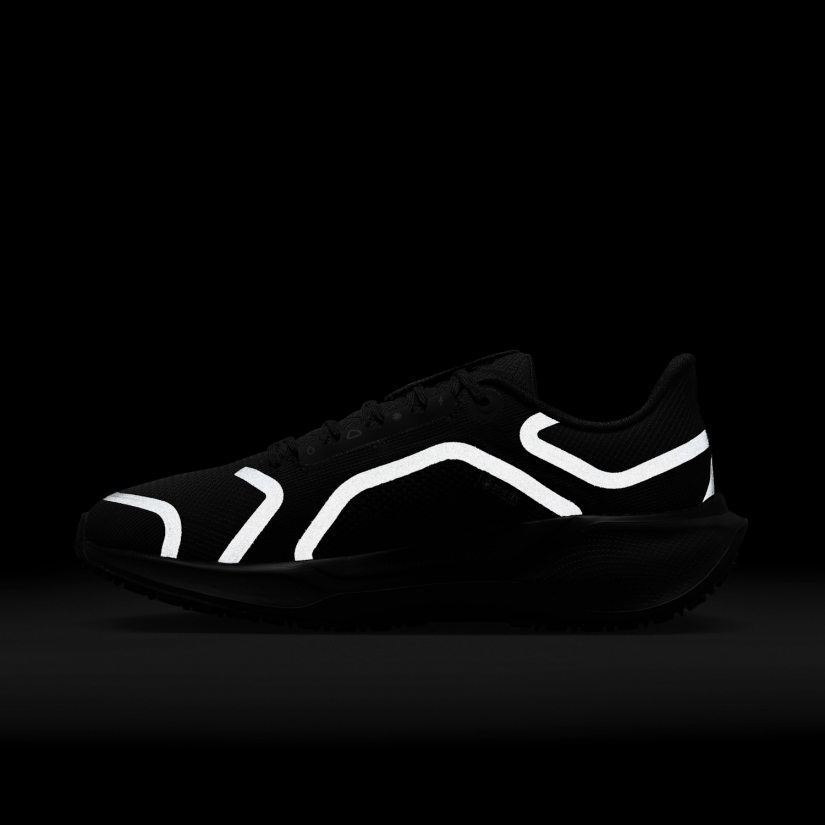 Air zm pegasus 41 gtx
