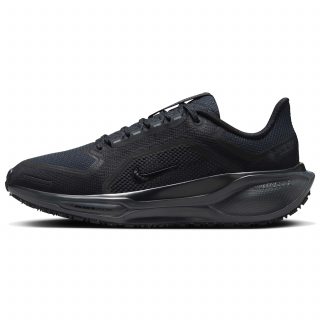 Nike кроссовки женские Air zm pegasus 41 gtx