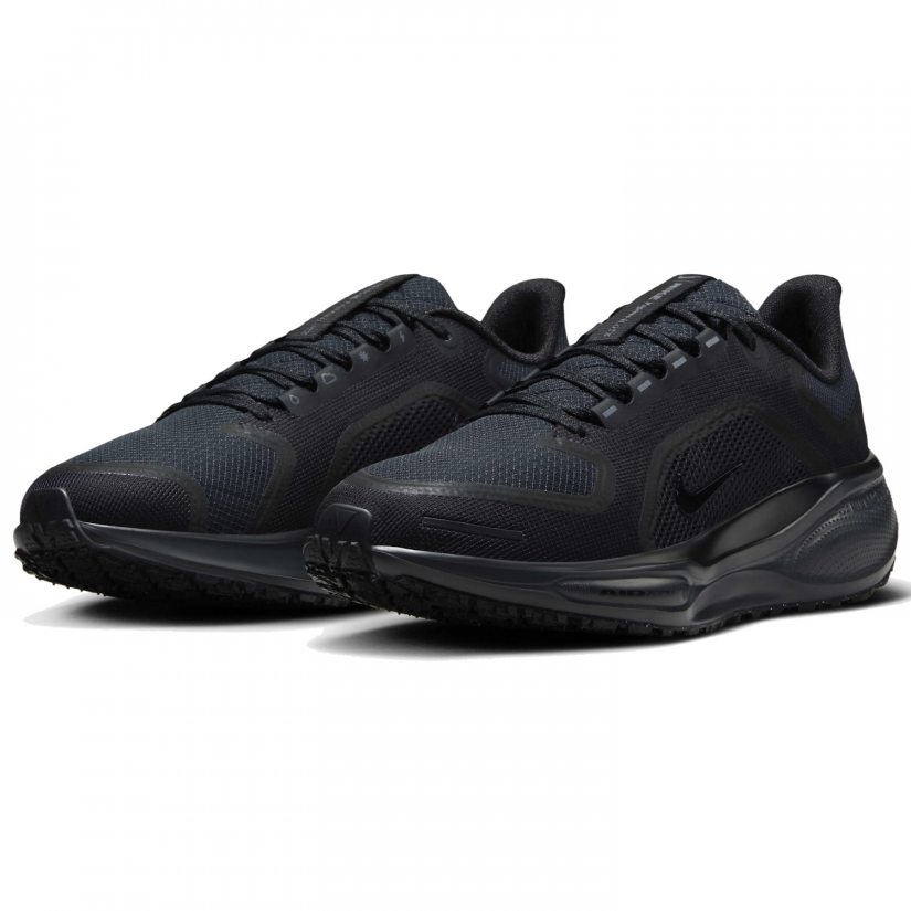 Air zm pegasus 41 gtx