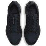 Air zm pegasus 41 gtx