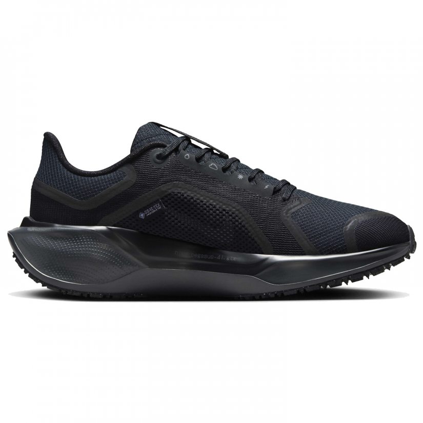 Air zm pegasus 41 gtx