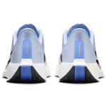 Pegasus plus