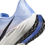 Pegasus plus