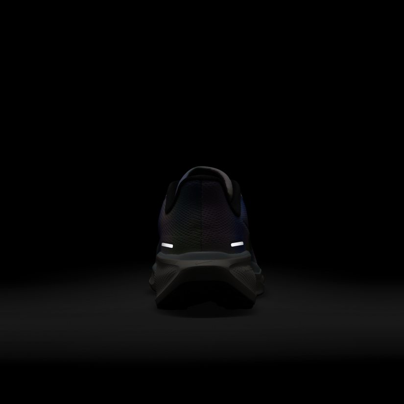 Air zoom pegasus 41 se
