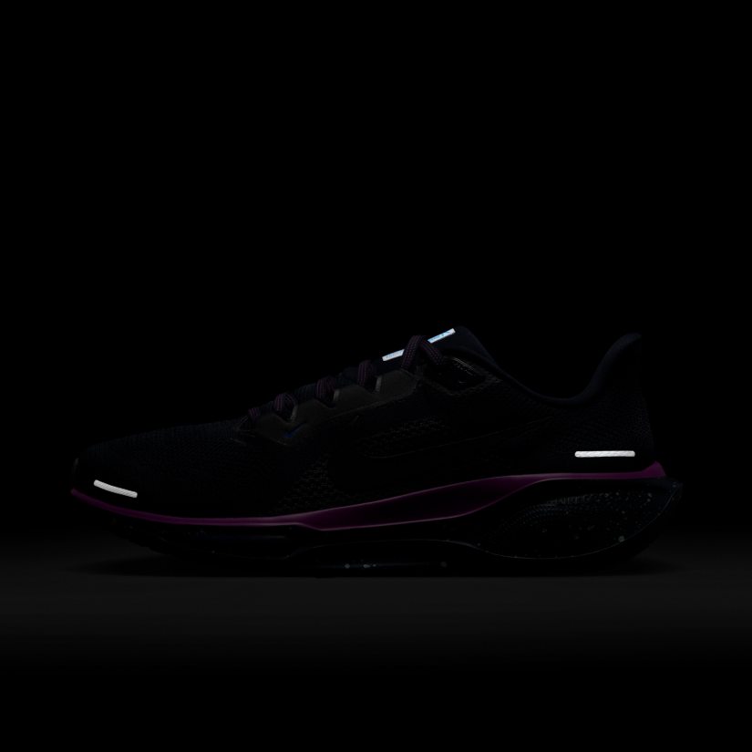 Air zoom pegasus 41 se