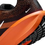 Winflo 11 es