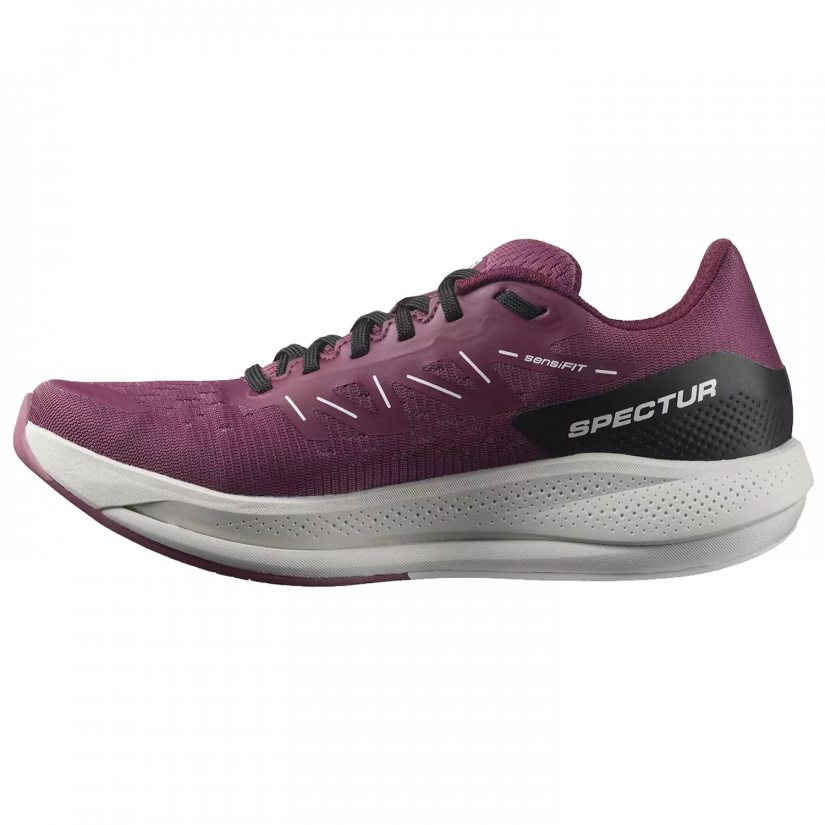 Spectur