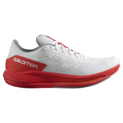 Salomon кроссовки мужские Spectur