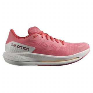 Salomon кроссовки женские Spectur