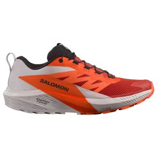 Salomon кроссовки мужские Sense ride 5