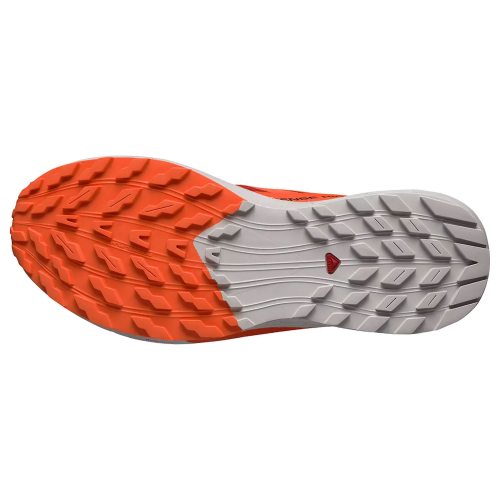 Salomon кроссовки мужские Sense ride 5
