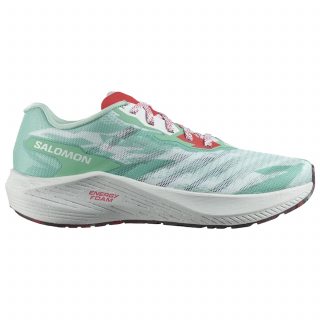 Salomon кроссовки женские Aero volt