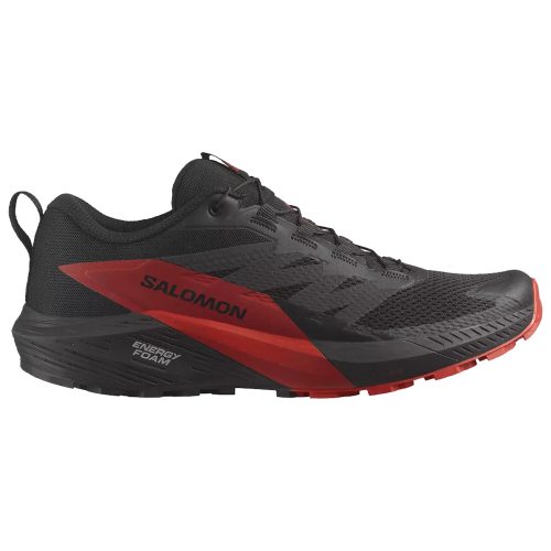 Salomon кроссовки мужские Sense ride 5
