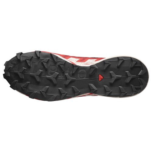 Salomon кроссовки мужские Speedcross 6 gtx