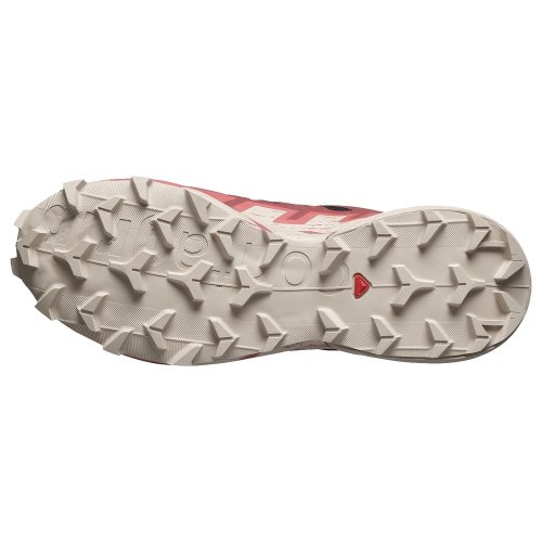 Salomon кроссовки женские Speedcross 6 gtx