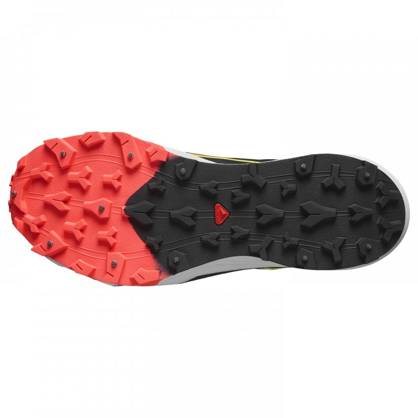Winter Cross Spike