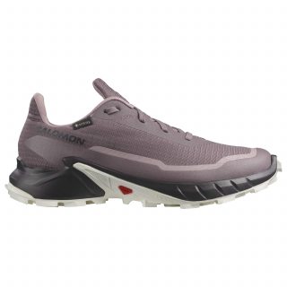 Salomon кроссовки женские Alphacross 5 gtx